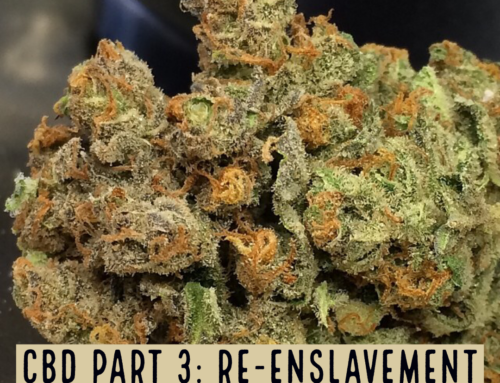 CBD Part 3: Re-Enslavement